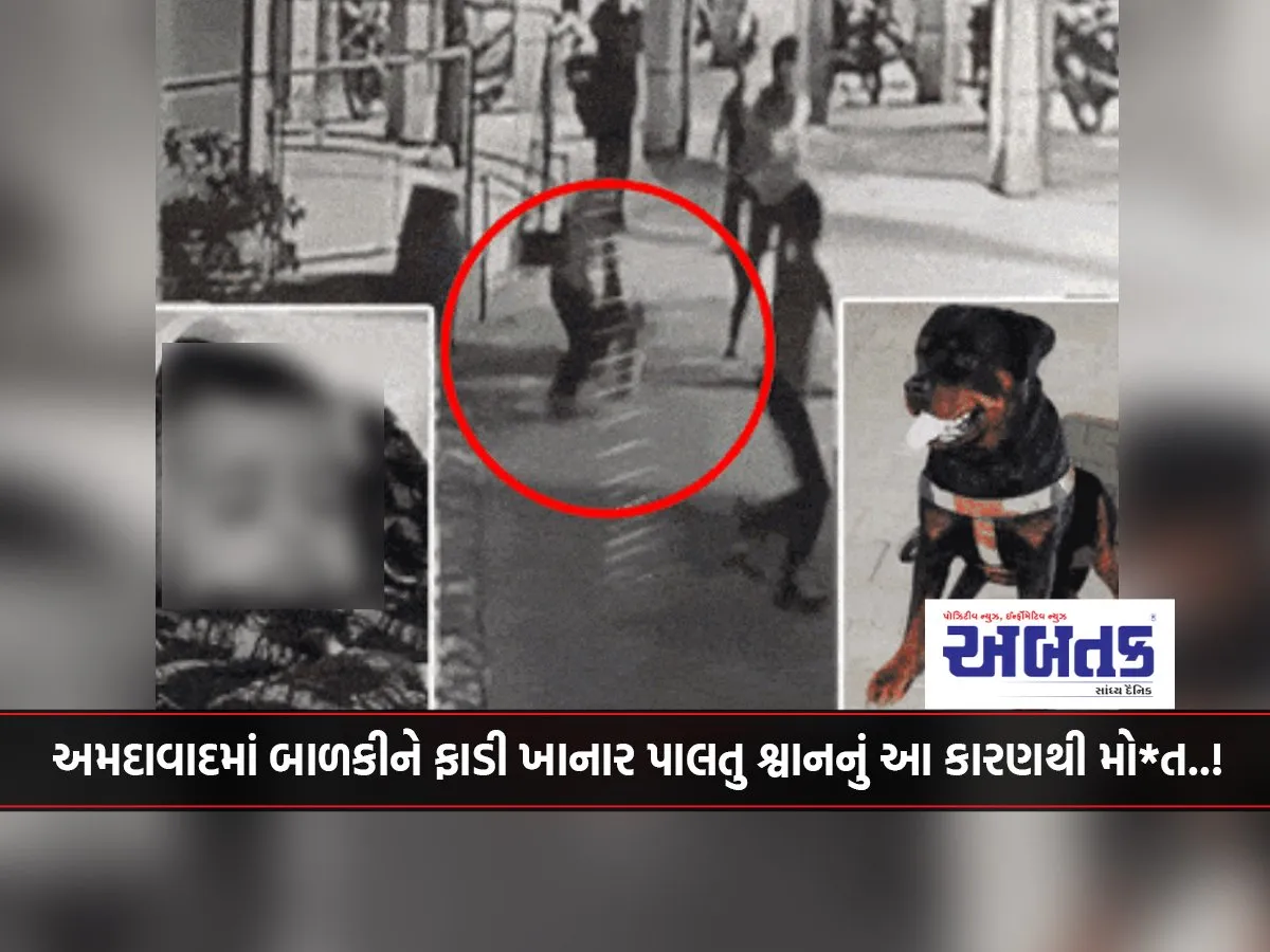 Pet Dog That Mauled Baby Girl In Ahmedabad Dies Due To This Reason..!