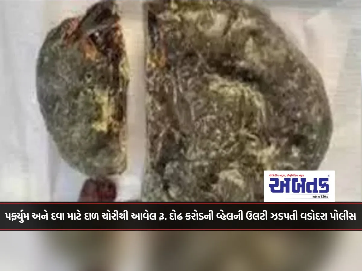 Vadodara Police Catch Whale Vomit Worth Rs. 1.5 Crore From The Theft Of Pulses For Perfume And Medicine