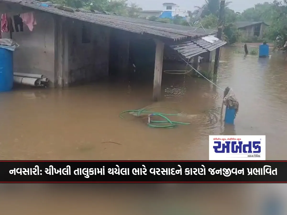 Navsari: Heavy Rains In Chikhli Taluka Affect Normal Life