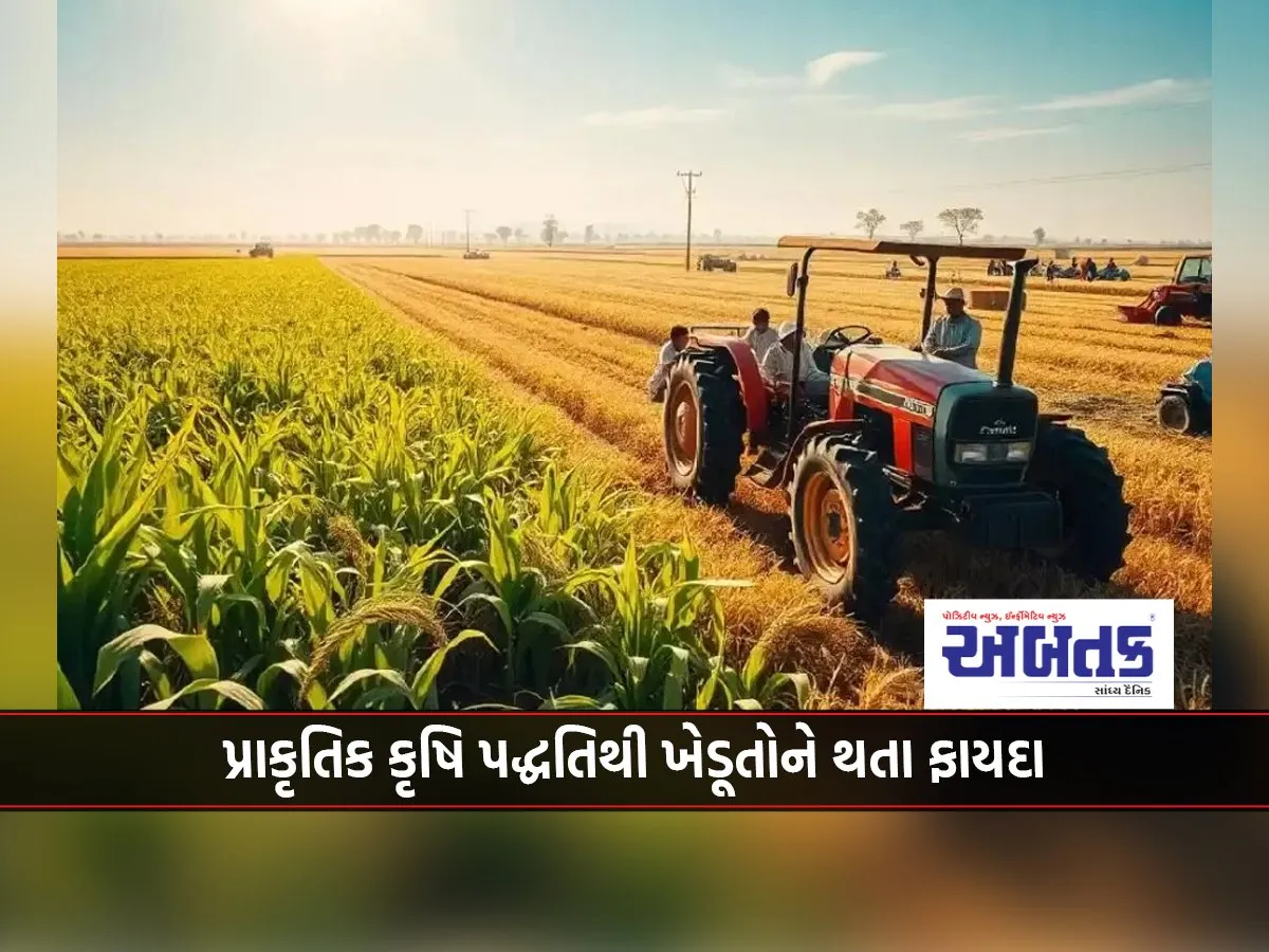 Benefits Of Natural Farming Methods For Farmers