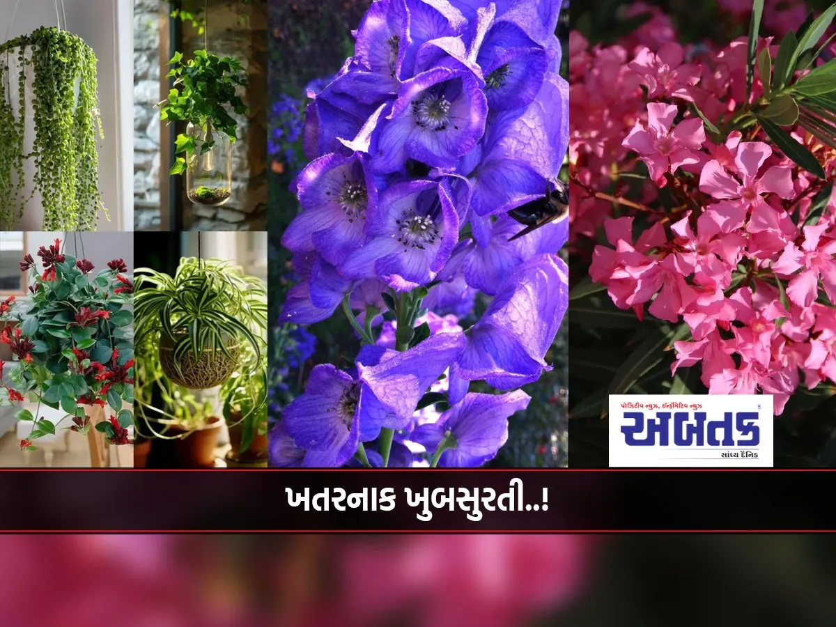 There Is A Danger Hidden Behind The Beauty Of This Plant..!