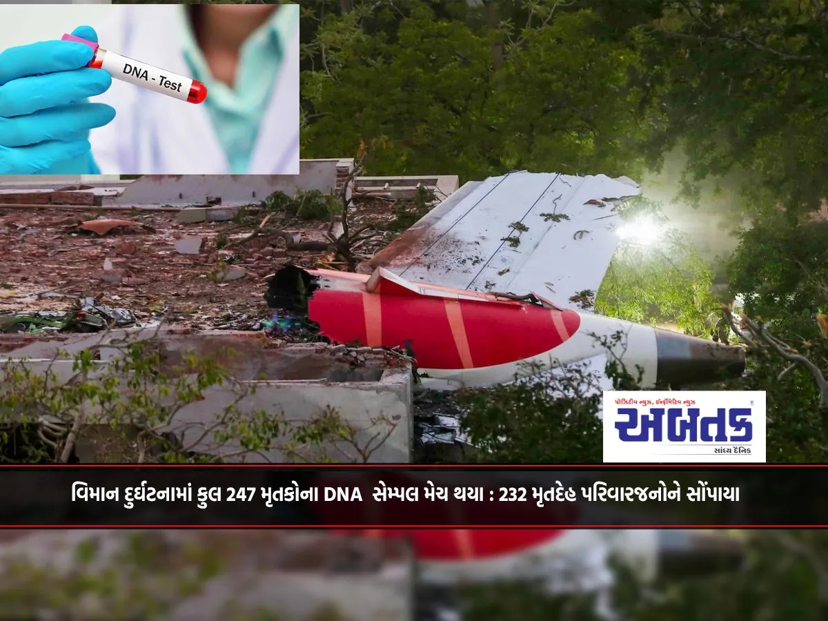 Dna Samples Of 247 People Killed In Plane Crash Matched: 232 Bodies Handed Over To Families