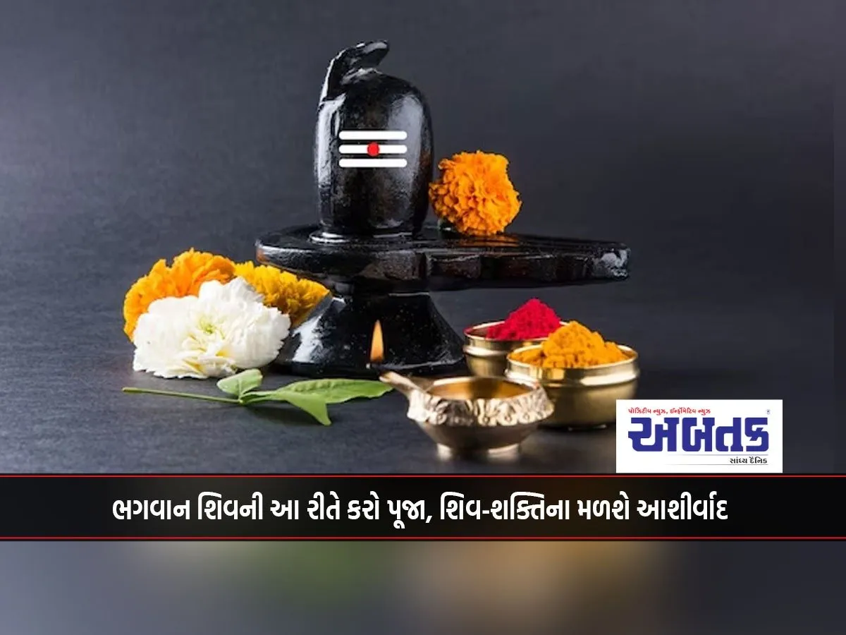 Worship Lord Shiva In This Way, You Will Get The Blessings Of Shiva And Shakti.
