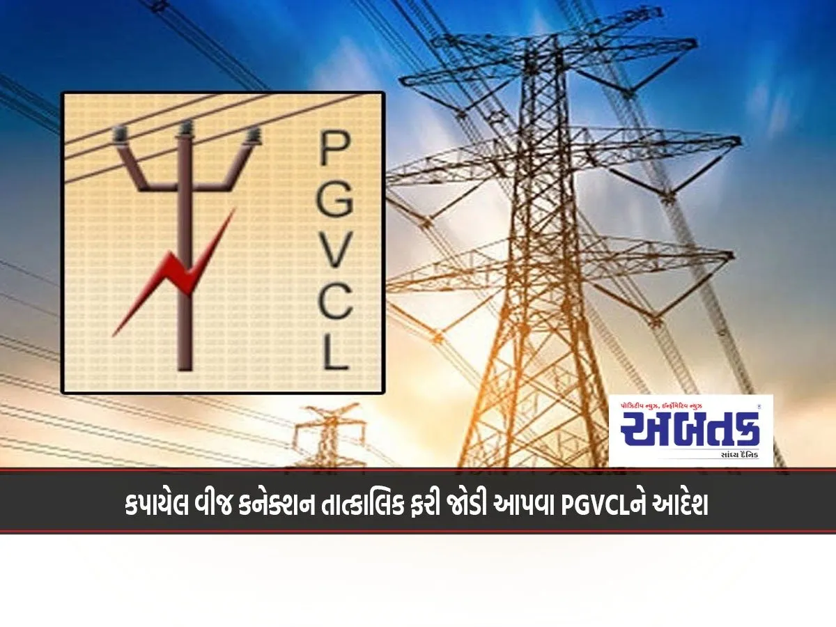 Pgvcl Announces Customer Care Center Numbers