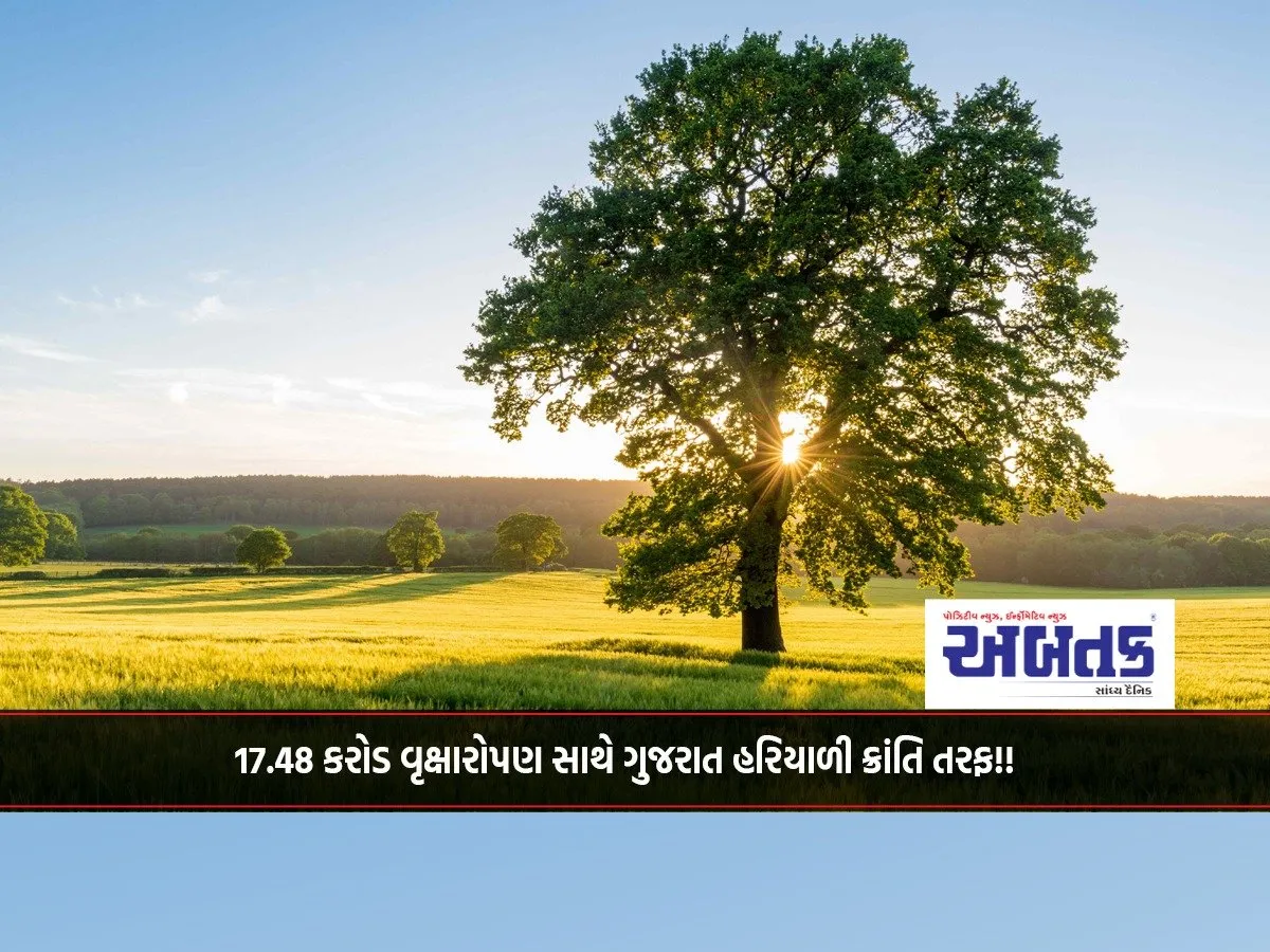 Gujarat Towards Green Revolution With 17.48 Crore Tree Plantation!!