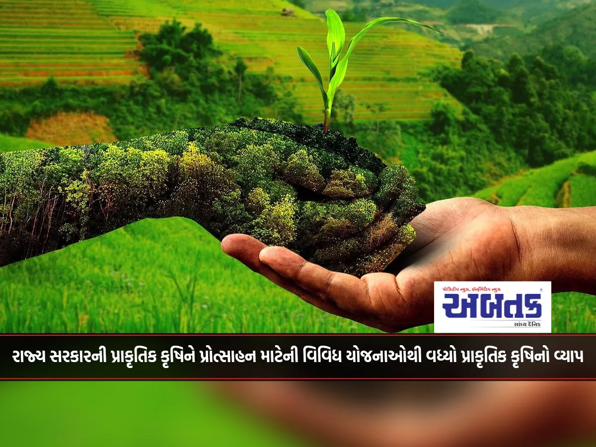 The Spread Of Natural Agriculture Has Increased Due To Various Schemes Of The State Government To Promote Natural Agriculture.