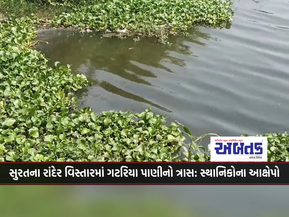 Trouble Of Drain Water In Surat'S Rander Area: Allegations Of Locals