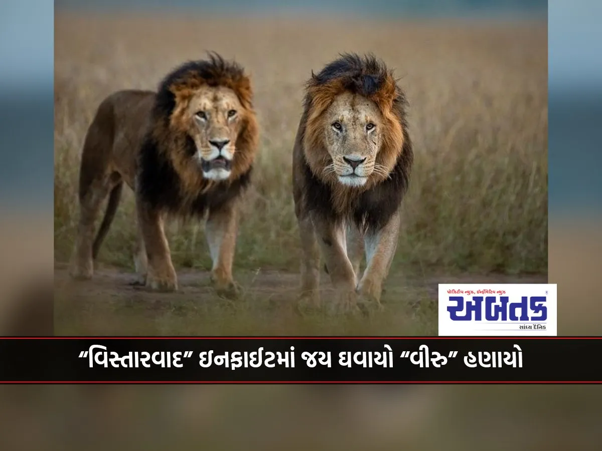 &Quot;Viru&Quot; Killed In &Quot;Extreme&Quot; In-Fight