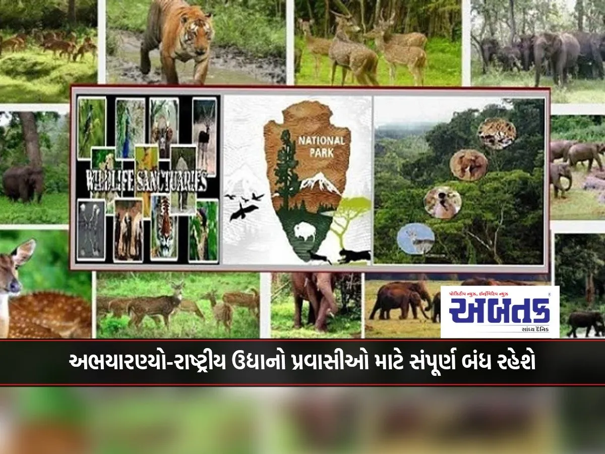 From This Date, All Sanctuaries-National Parks Will Be Completely Closed For Tourists