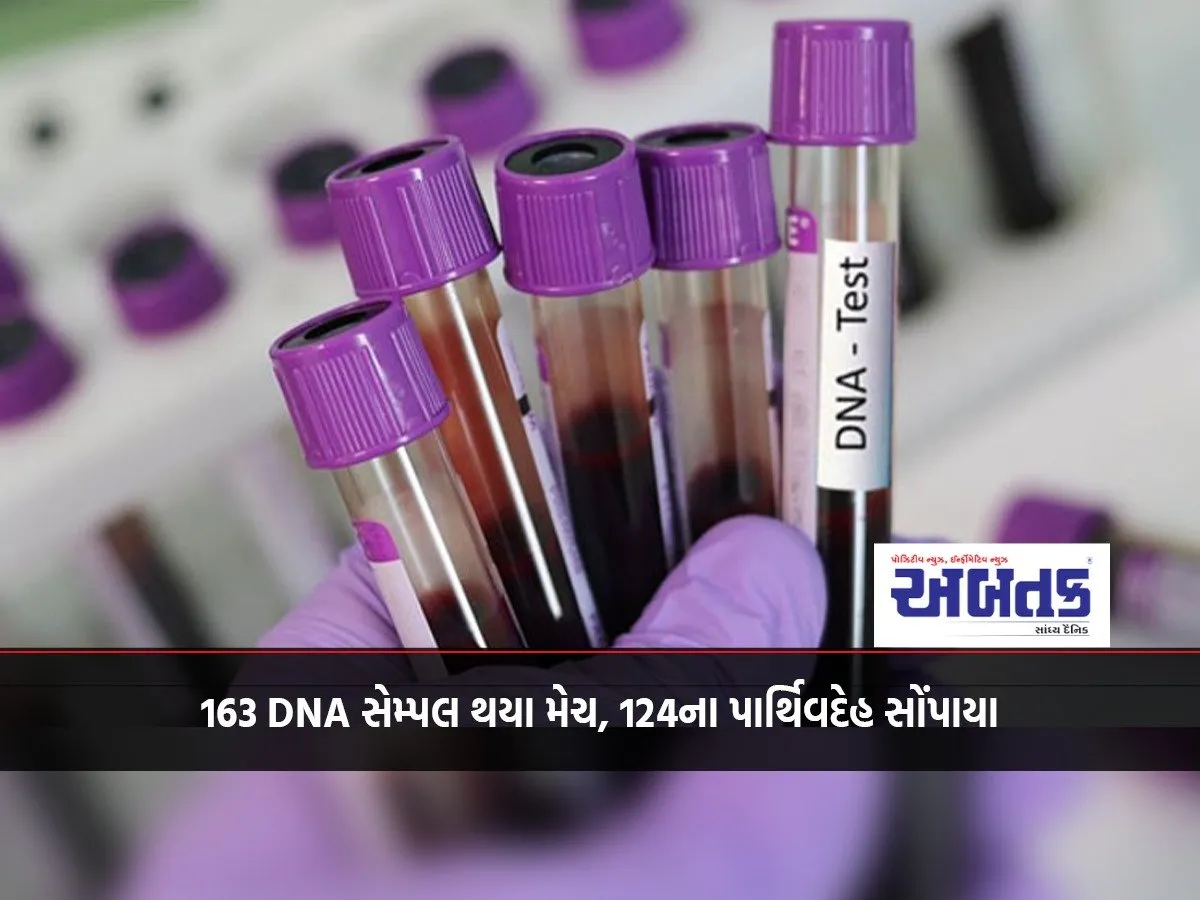 Ahmedabad Plane Crash Tragedy: How Many Dna Samples Were Matched, Civil Superintendent Gives Detailed Information