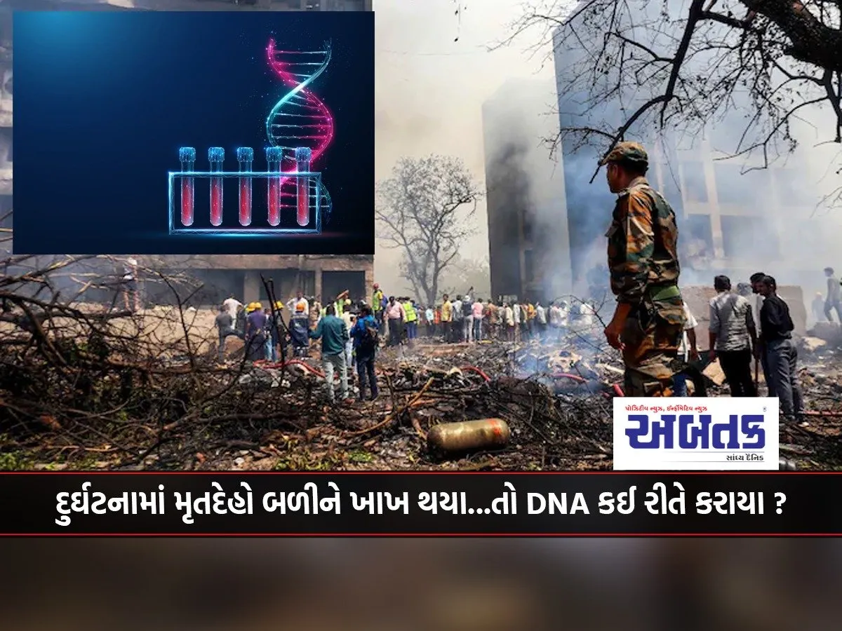The Bodies Were Burned To Death In The Accident...so How Was Dna Done?