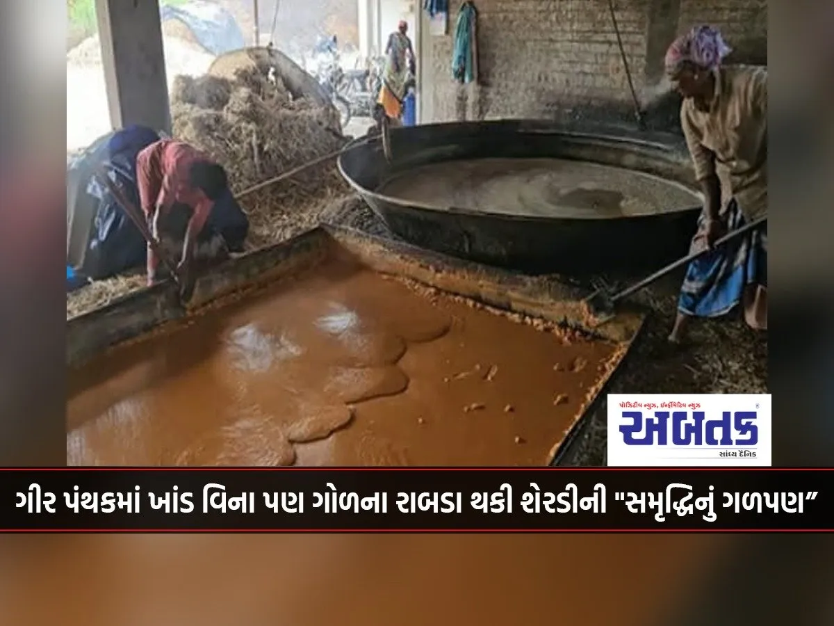 In Gir Panthak, Even Without Sugar, Sugarcane'S &Quot;Sweetness Of Prosperity&Quot; Is Enjoyed Through Jaggery Paste.