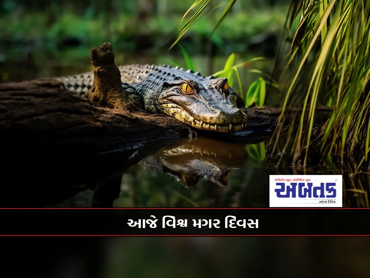 The Strength Of A Crocodile'S Jaws Is The Most Dangerous Of All Animals.