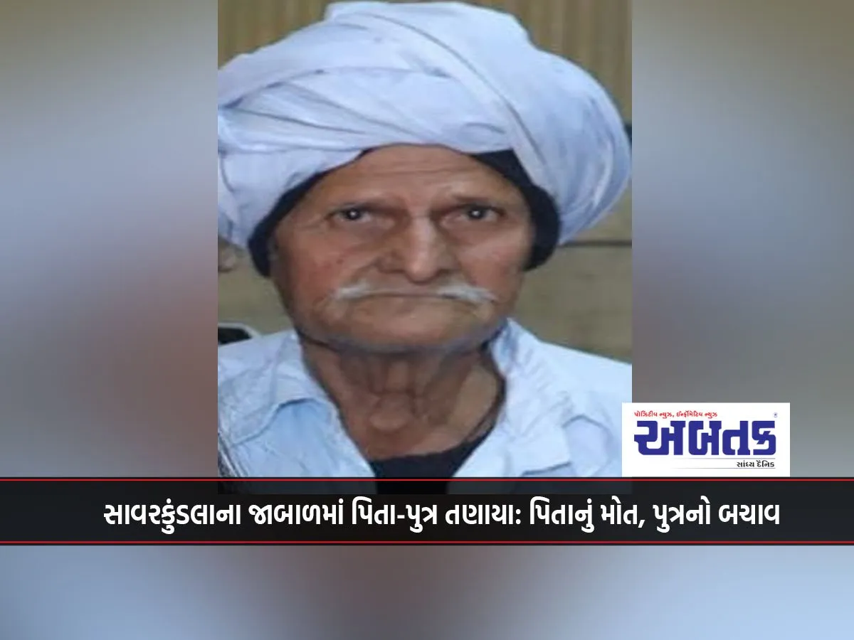 Father And Son Drowned In Savarkundla: Father Dies, Son Rescued