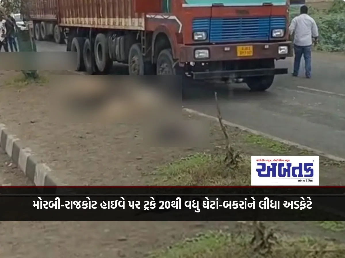Truck Hits More Than 20 Sheep And Goats On Morbi-Rajkot Highway