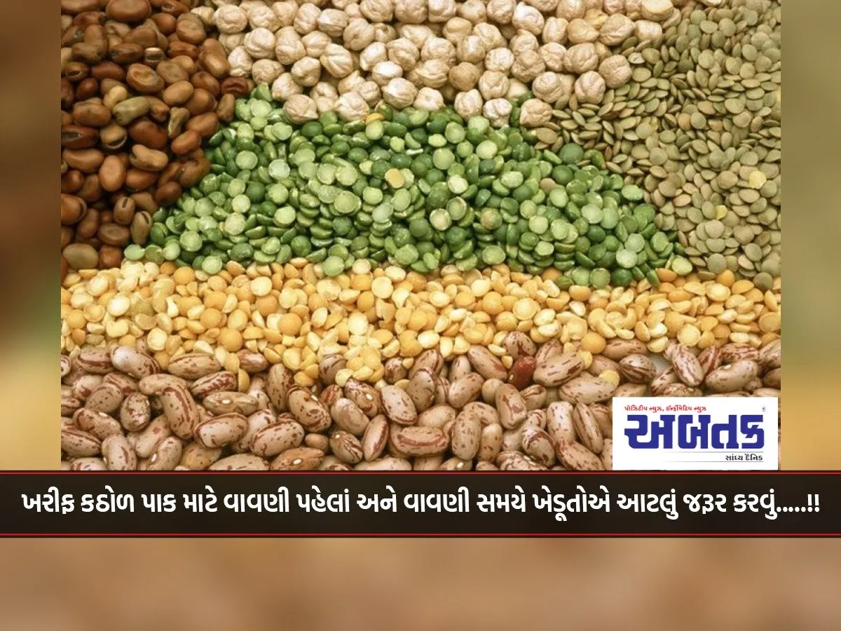 Farmers Must Do This Before And During Sowing Of Kharif Pulses Crop.....!!