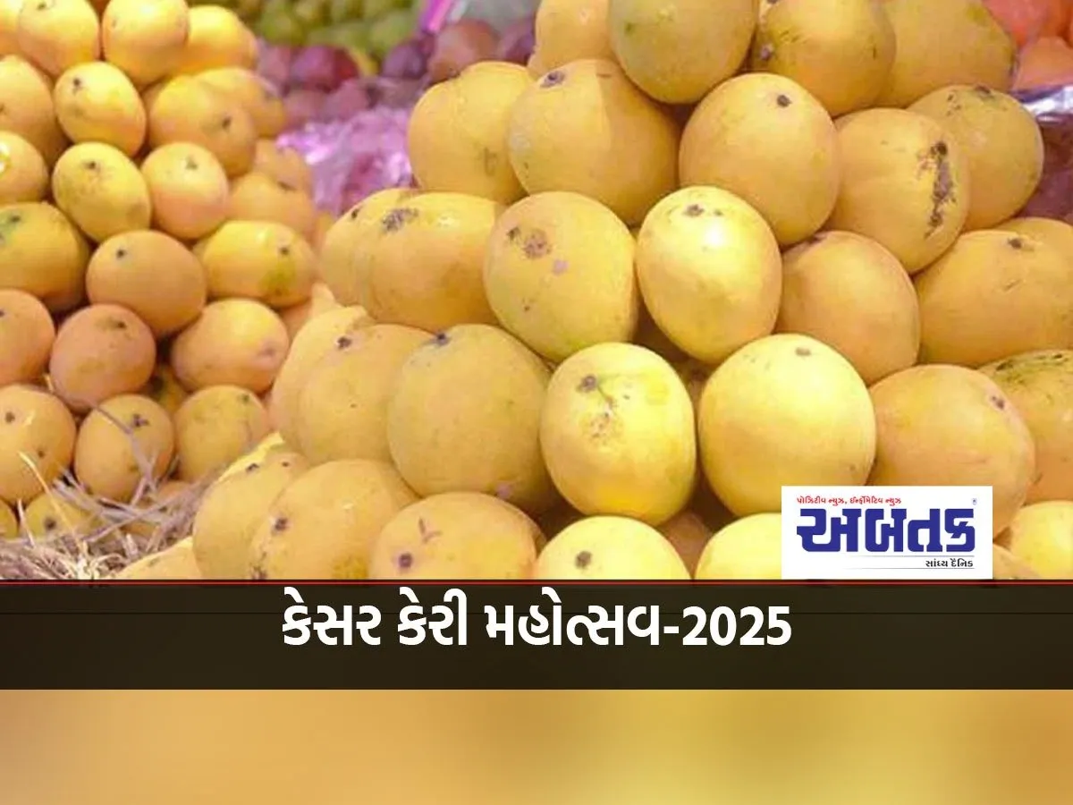 Kesar Mango Festival-2025: Record Sale Of More Than 3 Lakh Kg Of Mangoes In 1 Month