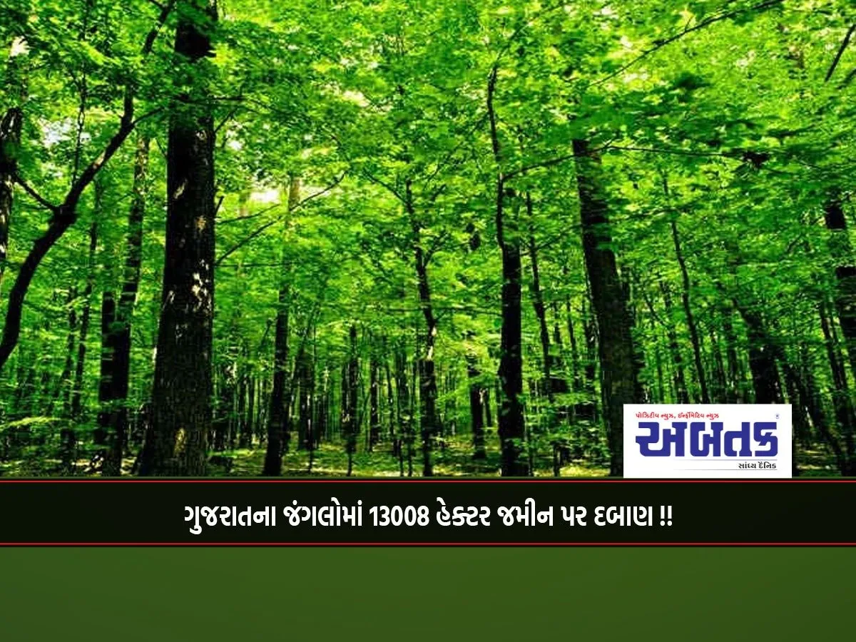 Pressure On 13008 Hectares Of Land In Gujarat'S Forests!!