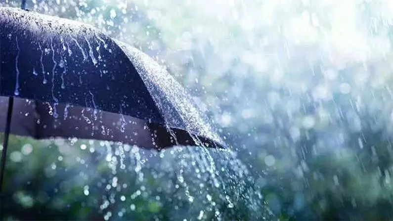 Partial Relief From Heat: Light Rain Throughout Halar District