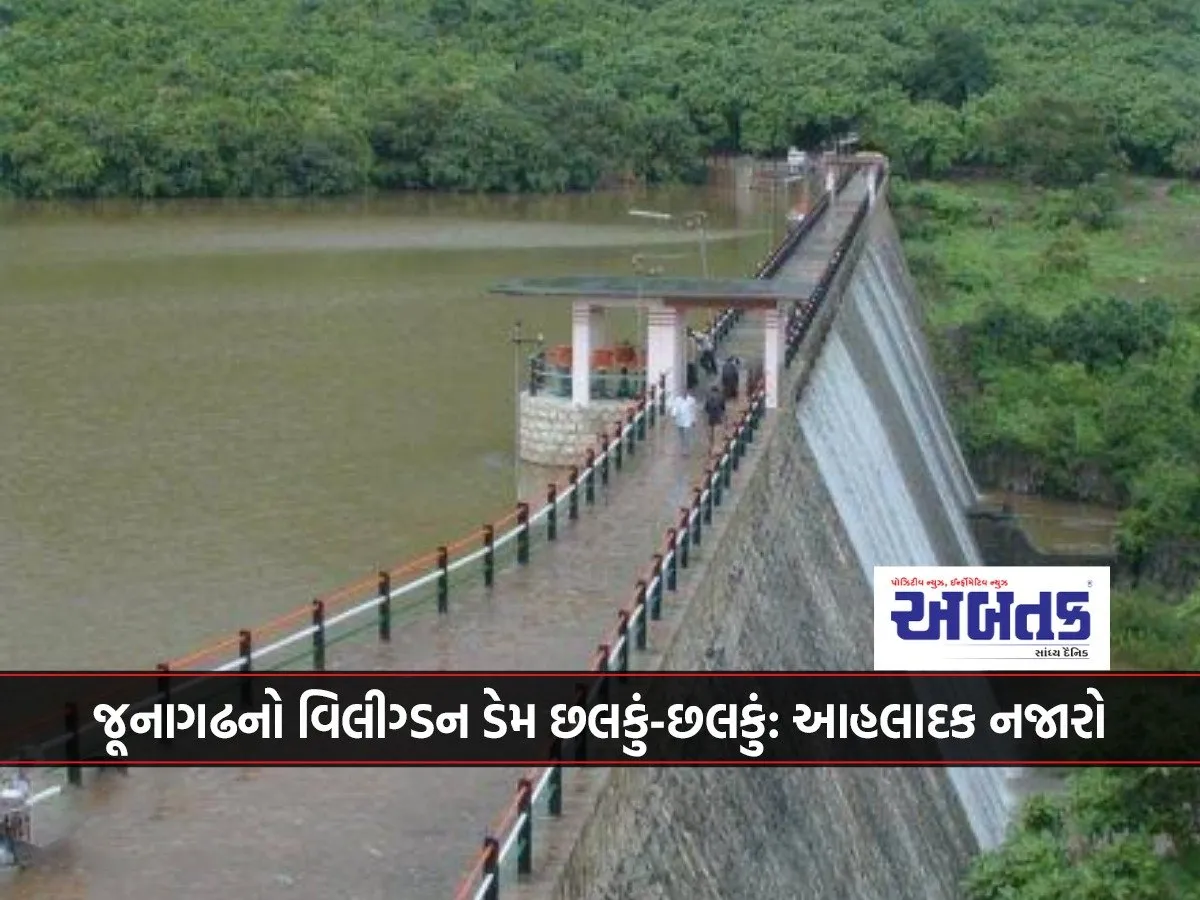 Junagadh'S Willigdon Dam Overflows: A Delightful Sight