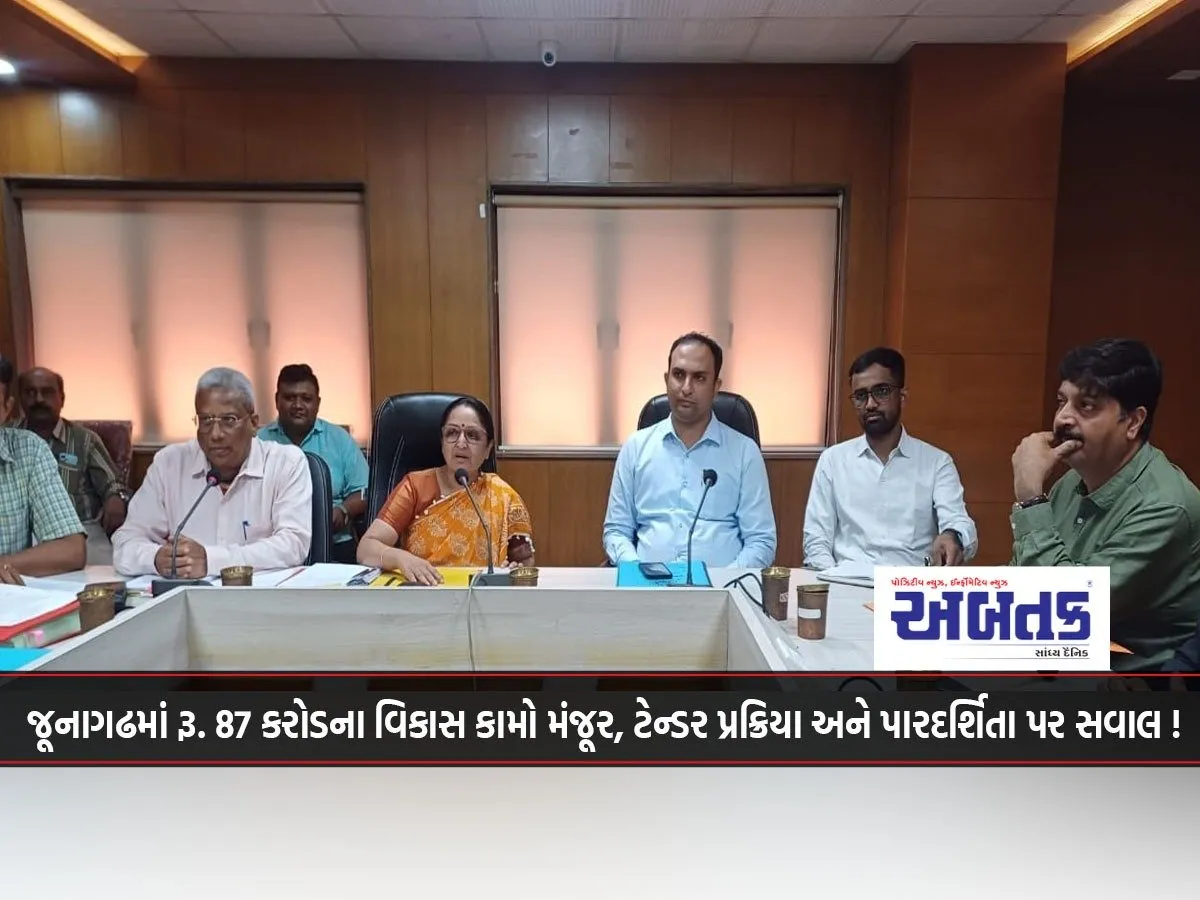 Junagadh Couple Dies Before Reaching London To Meet Their Son