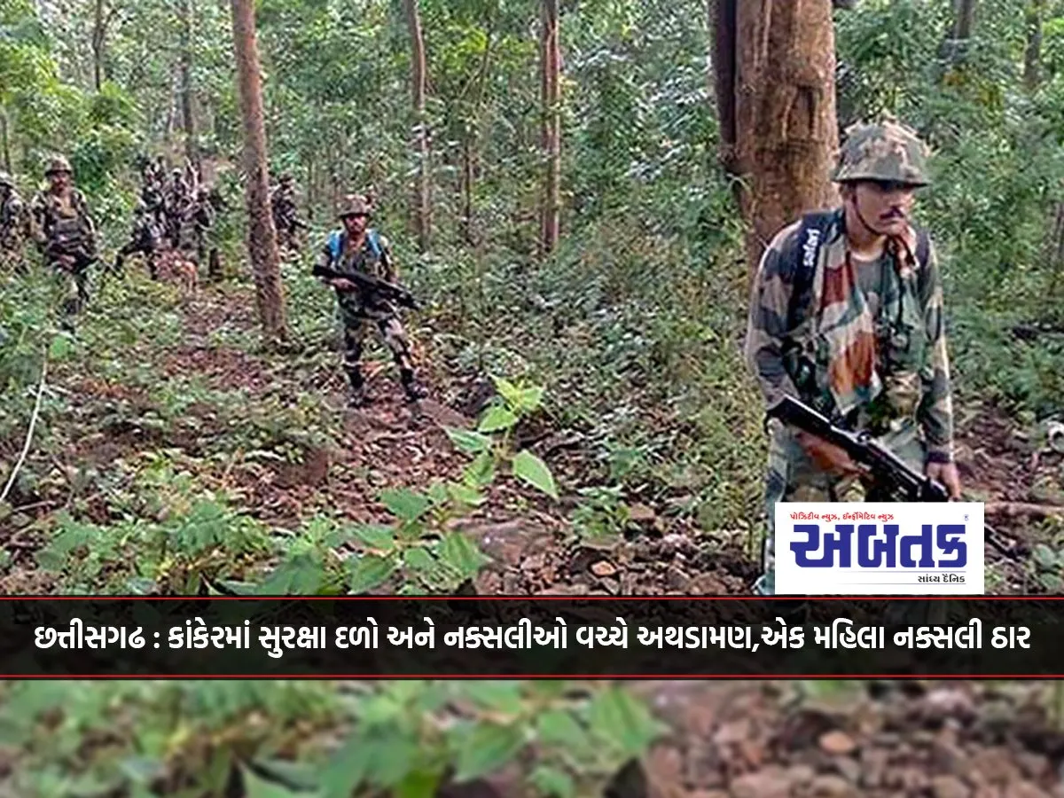 Chhattisgarh: Encounter Between Security Forces And Naxalites In Kanker, A Woman Naxalite Killed