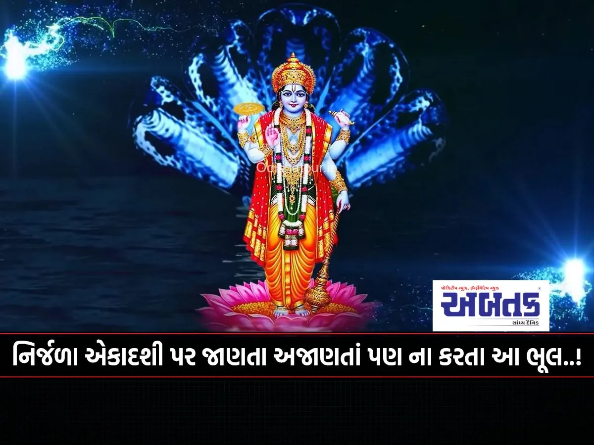 Do Not Make This Mistake On Nirjala Ekadashi Knowingly Or Unknowingly..!