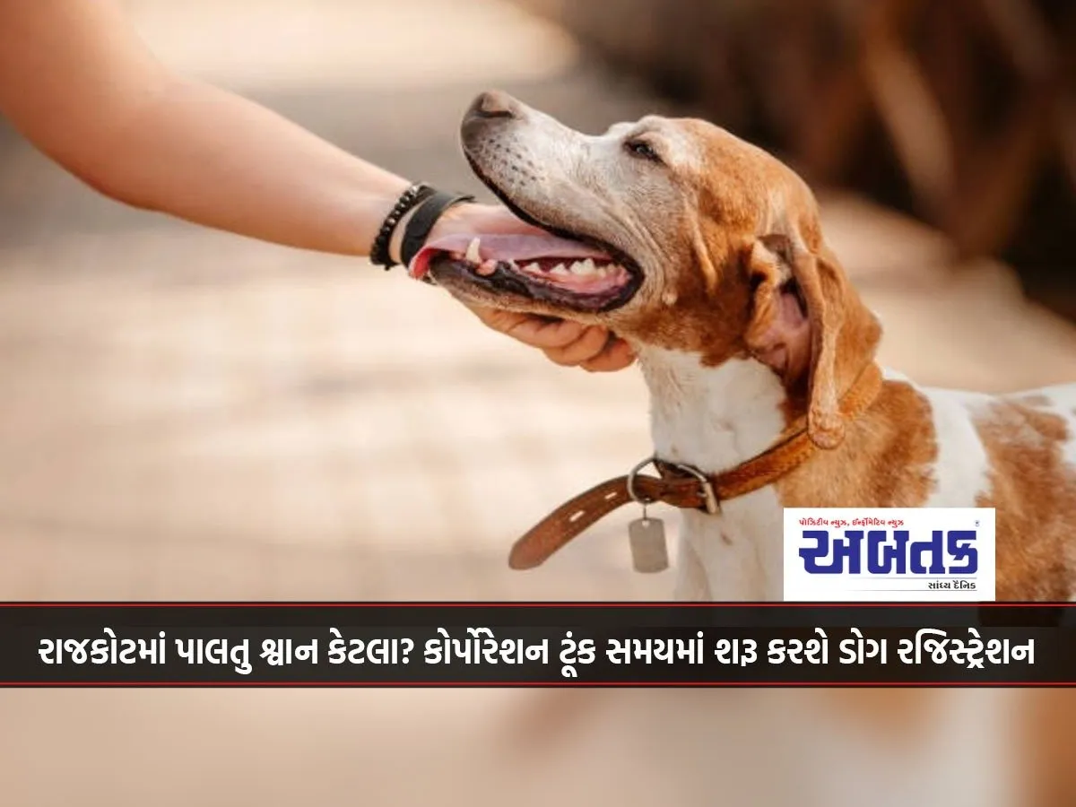 How Many Pet Dogs Are There In Rajkot? Corporation Will Soon Start Dog Registration