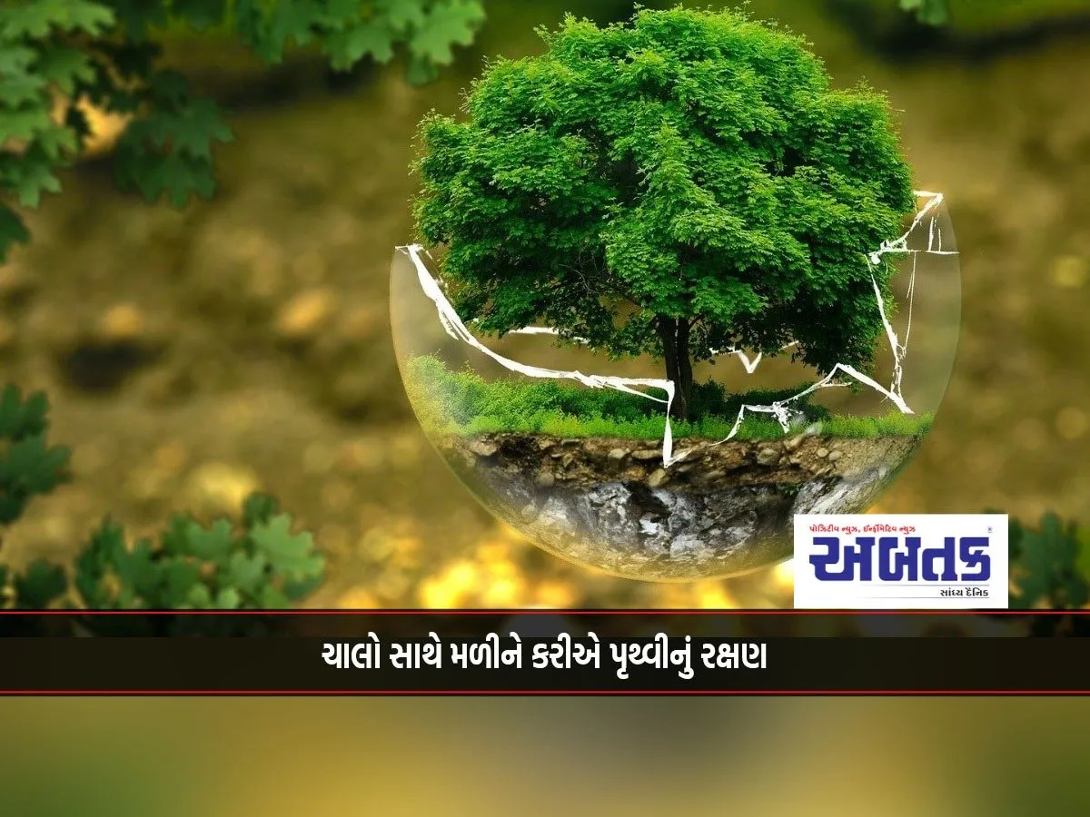 World Environment Day 2025: Why Is This Day Celebrated? Know The History...