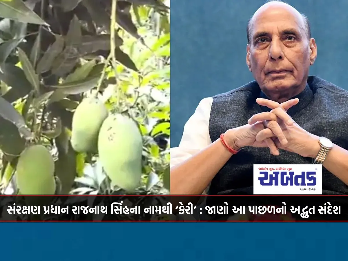 ‘Mango’ Named After Defence Minister Rajnath Singh: Know The Wonderful Message Behind This