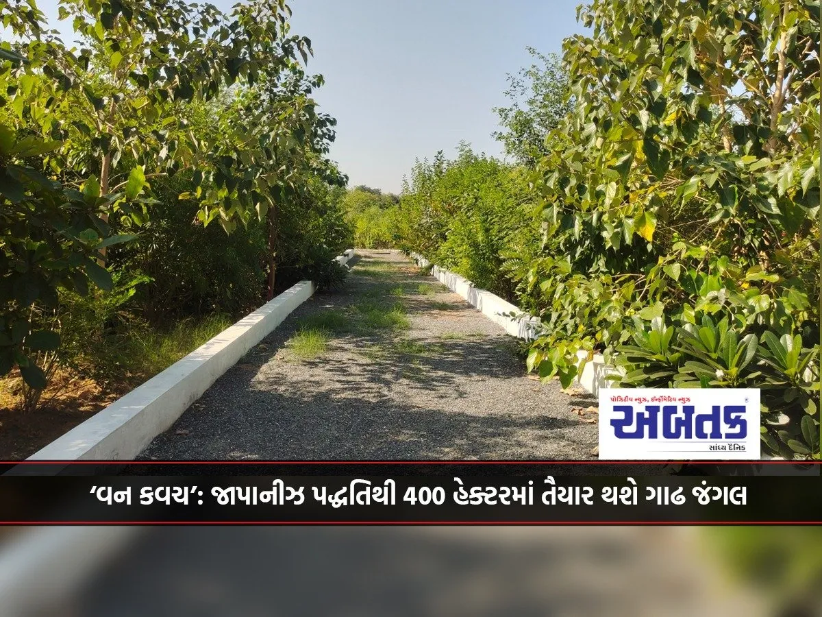 'Forest Shield' Over Gujarat: Dense Forest To Be Created In 400 Hectares Using Japanese Method
