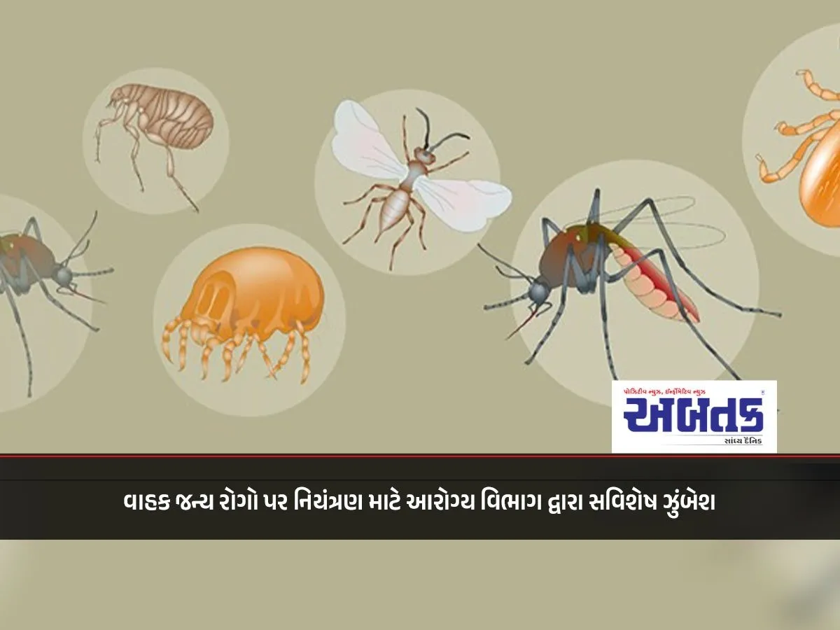 Special Campaign By Health Department To Control Vector-Borne Diseases