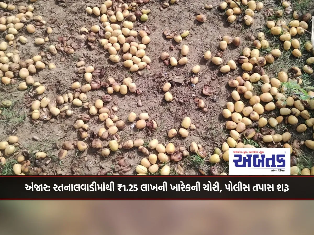 Anjar: ₹1.25 Lakh Worth Of Kharek Stolen From Ratnalwadi, Police Investigation Launched