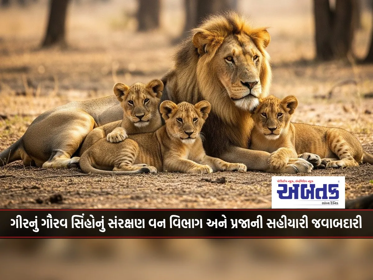Gir'S Pride, Conservation Of Lions, Forest Department And Shared Responsibility Of The People
