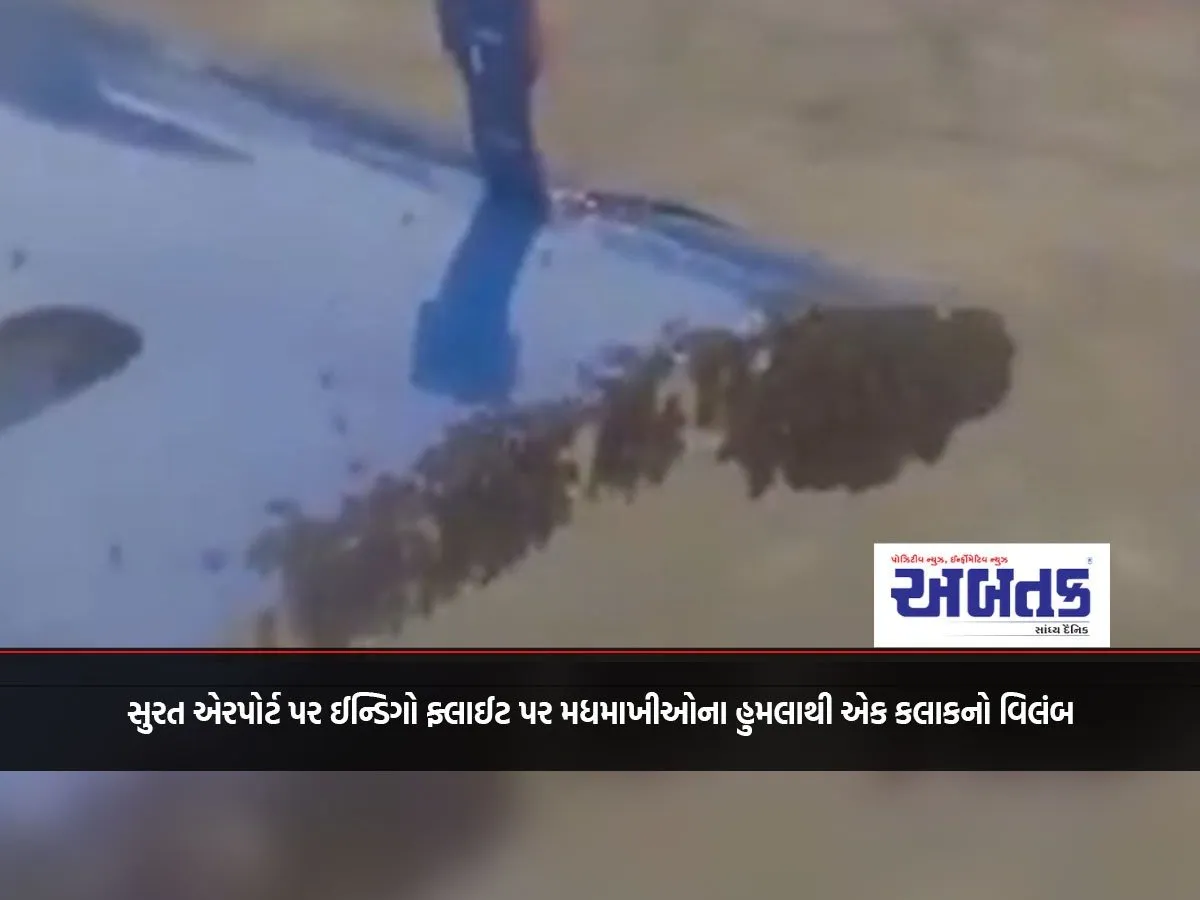 Indigo Flight Delayed By One Hour Due To Bee Attack At Surat Airport