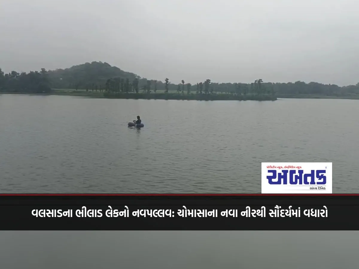 Navapallav Of Bhilad Lake In Valsad: Beauty Increased Due To New Water Of Monsoon