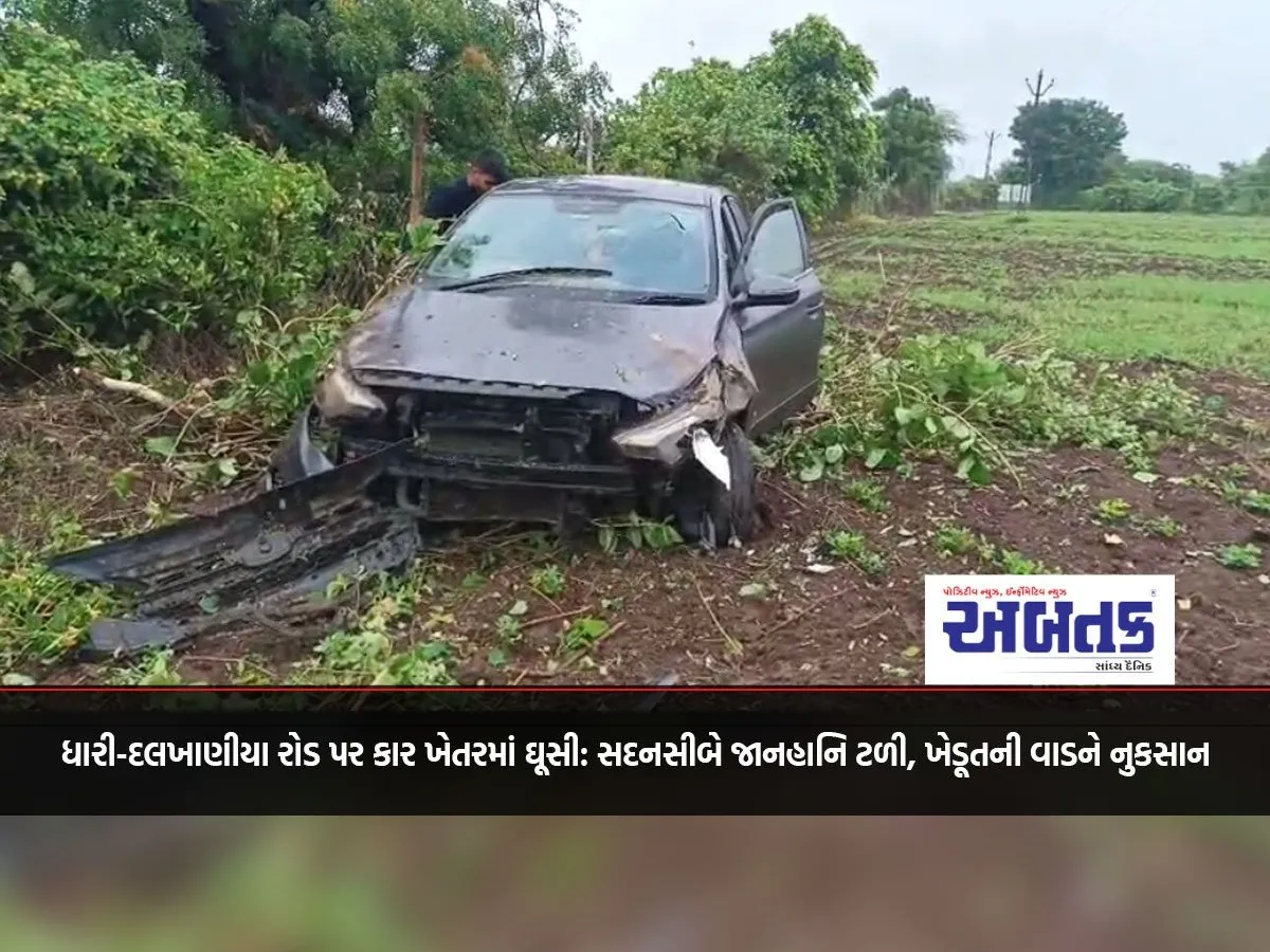 Car Entered Field On Dhari-Dalkhaniya Road: Fortunately, Loss Of Life Was Avoided, Farmer'S Fence Damaged