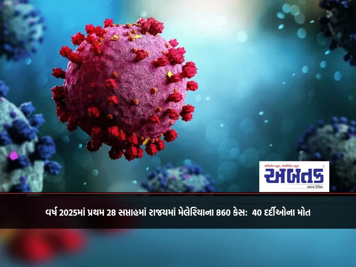860 Cases Of Malaria In The State In The First 28 Weeks Of 2025: 40 Patients Died