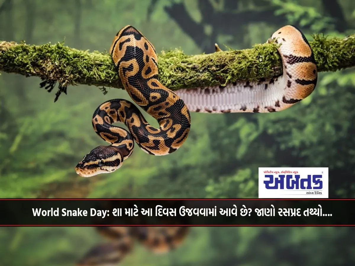 World Snake Day: Why Is This Day Celebrated? Know Interesting Facts....