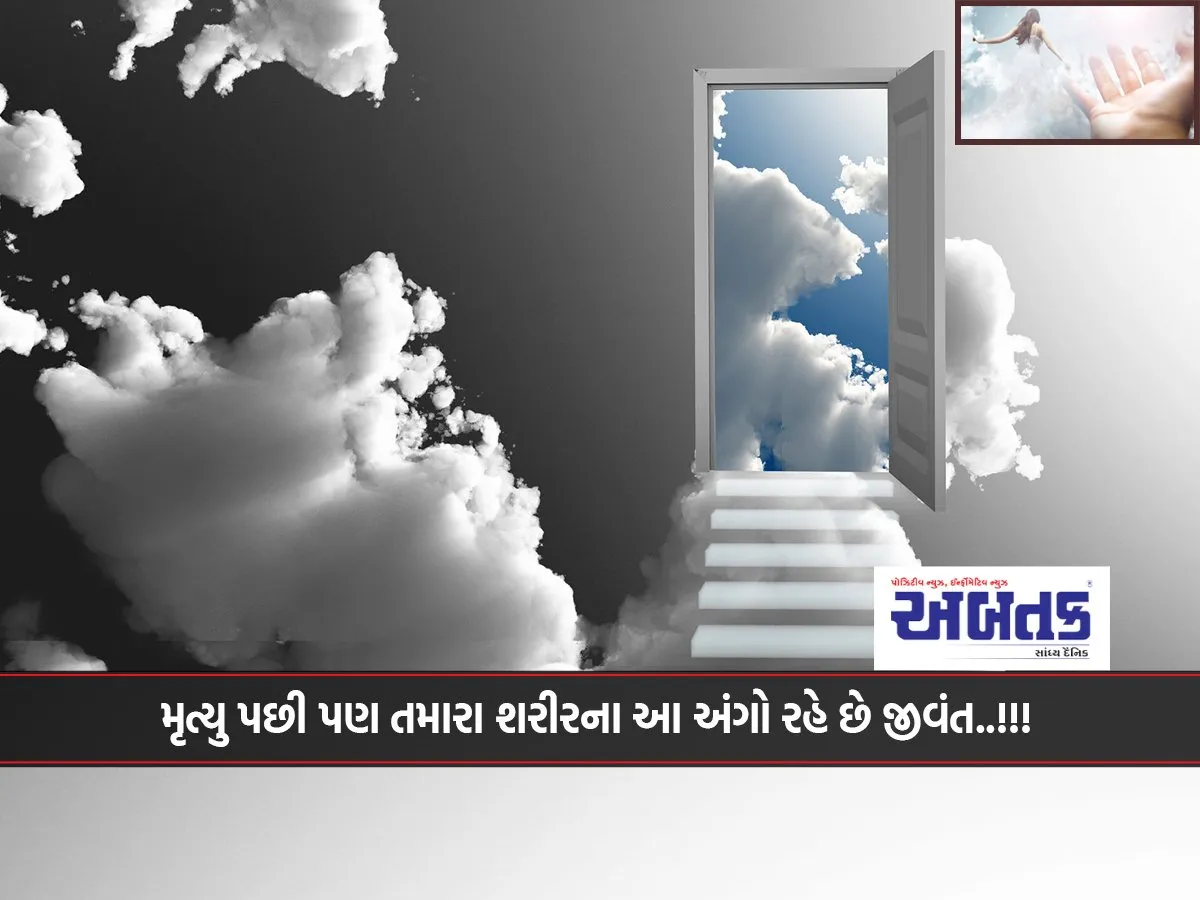 These Parts Of Your Body Remain Alive Even After Death..!!!