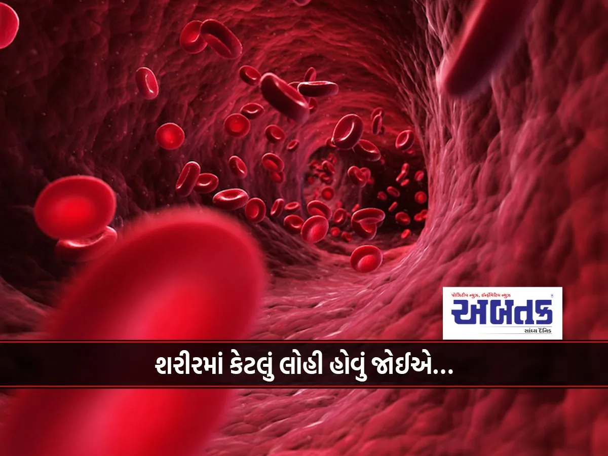 How Much Blood Should The Body Have…What Should You Eat To Overcome Anemia?