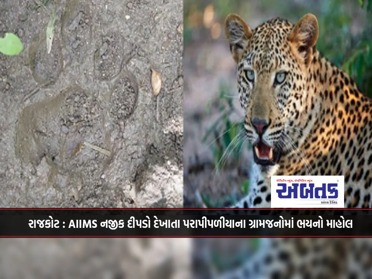 Rajkot: Panic Grips Villagers Of Parapipaliya After Leopard Sighting Near Aiims