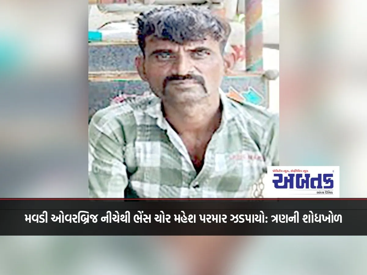 Buffalo Thief Mahesh Parmar Caught From Under Mawdi Overbridge: Search For Three