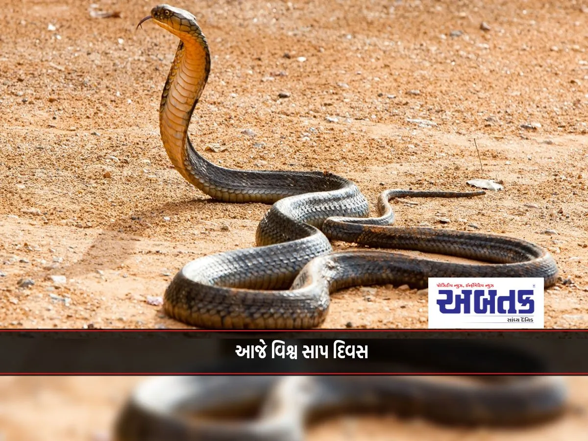 Snakes Are Found All Over The World Except In The Polar Regions, Iceland, Ireland, Greenland, And New Zealand.