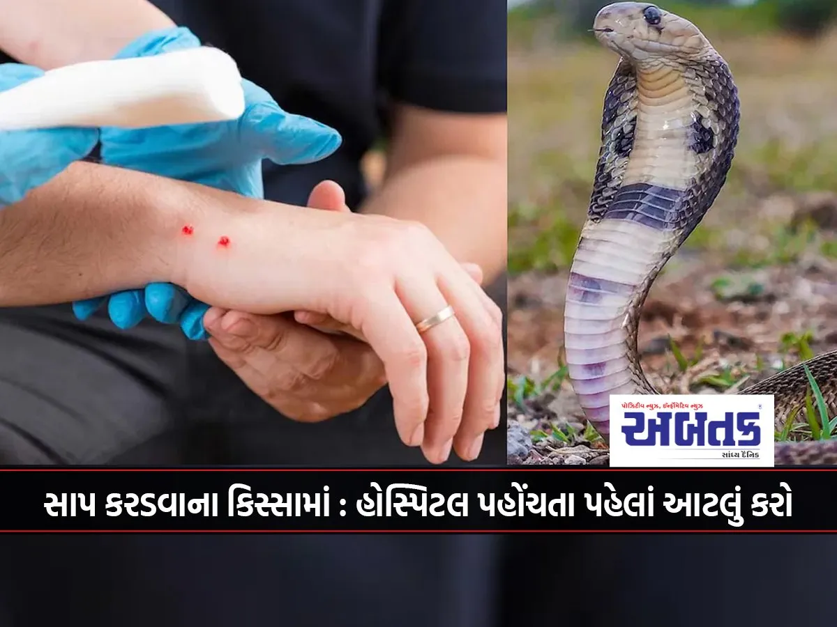 In Case Of Snake Bite: Do This Before Reaching The Hospital
