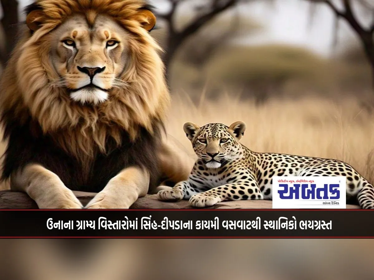 Locals Are Terrified By The Permanent Habitation Of Lions And Leopards In Rural Areas Of Una