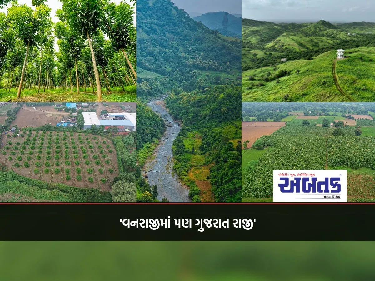 'Gujarat Is Also Happy In Forest Cover': Gujarat Is Leading The Country In Green Cover