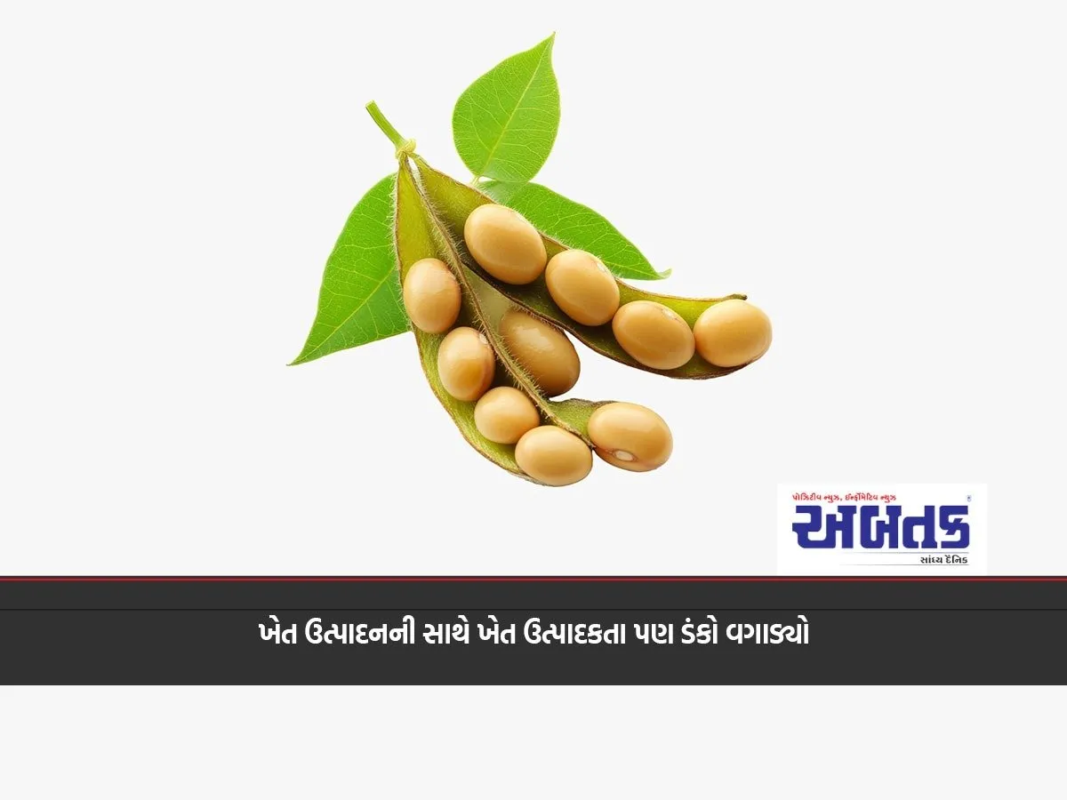 In The Last 12 Years, Soybean Income Has Increased 12 Times, While Spices Have Grown By 161 Percent.