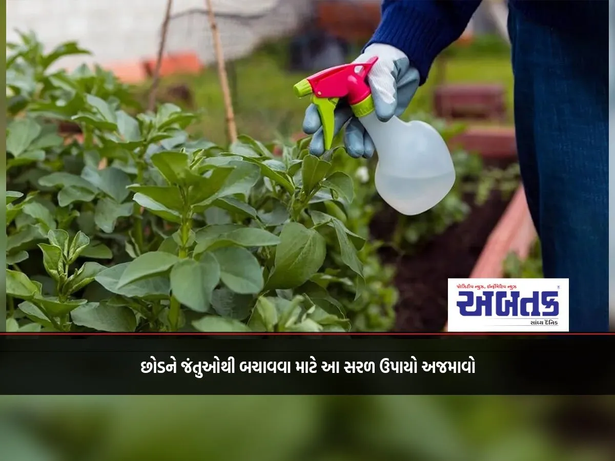 જસ્ટિસ.Jpg