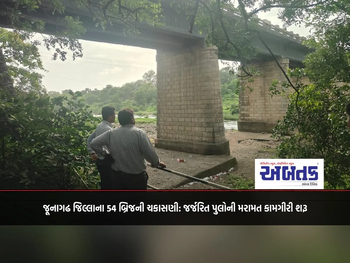 Inspection Of 54 Bridges In Junagadh District: Repair Work Of Dilapidated Bridges Begins